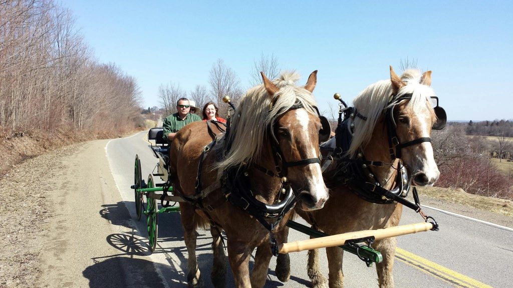 Boyd Family Ranch Carriage Ride